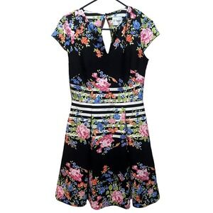 J Taylor Womens Size 6 Floral Dress Fit Flare Black Striped with Floral Print‎